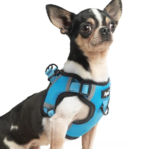 PUPTECK Dog Harness Small Sized Dog, Step in Adjustable Reflective Dog Vest Harness Escape Proof, No Pull Soft Padded Harness Easy Control, Blue, XS - color: Blue, size: XS (CHEST: 11.5"-16")