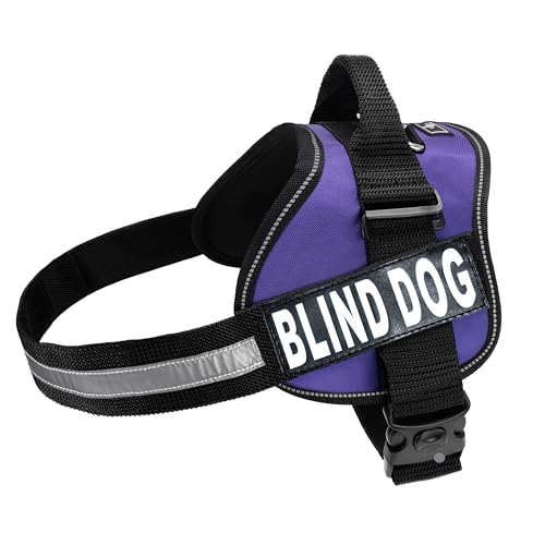 Doggie Stylz Blind Dog Harness, No Pull, No Escape - color: Purple, size: Girth 24-31"