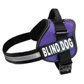 Doggie Stylz Blind Dog Harness, No Pull, No Escape, Adjustable - color: Purple, size: Girth 19-25"