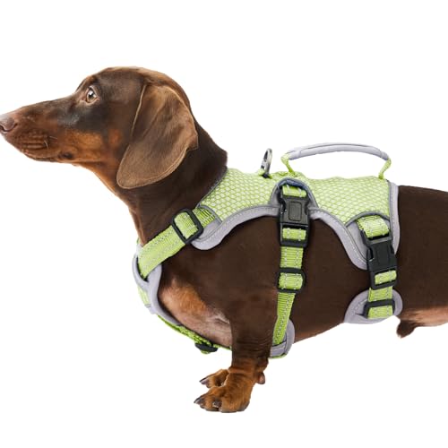 Huntboo Escape Proof Dog Harness, Dachshund Harness, Reflective Dog Harness with Handle, Durable,Adjustable Vest for Small Medium Large Dogs Walking, Training, and Running Gear (Green,S) - color: Green, size: Small(Pack of 1)