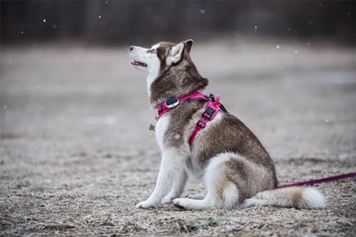 TRUE LOVE Adjustable No-Pull Dog Harness Reflective Vest, Fushcia, XS - color: Fushcia, size: XS