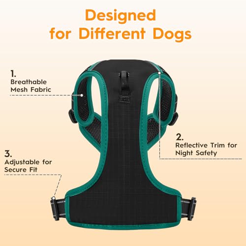 No Pull Dog Harness, No-Choke Soft Padded Reflective Dog Vest Harness with Front Clip & Top Handle, 2 Quick-Release Buckles, Adjustable for Small Medium Large Dogs - color: Black/Turquoise, size: X-Small