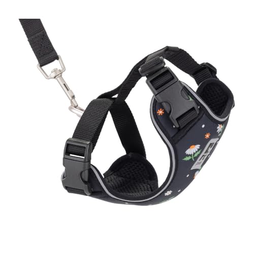RC Pets Adventure Kitty Cat Harness | Adjustable Airmesh Vest with D-Ring and 6ft Leash for Walking and Travel | Daisies, Small - color: Daisies, size: Small