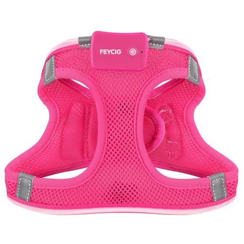 Light Up Dog Harness, Rechargeable LED Dog Harness for Small Medium Dogs - color: Pink, size: L