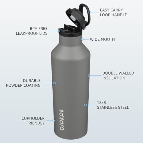 BJPKPK 25oz Insulated Thermal Water Bottle, Straw & Handle, Stainless Steel - color: Gray, size: 25 Ounces