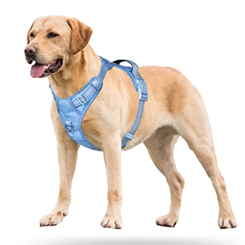 PoyPet No Pull Dog Harness, Reflective Vest with 2 Leash Clips & Handle - color: Light Blue(Matching Trim), size: S