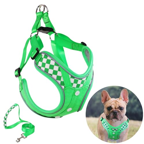Dog Harness with Leash Set, No Pull Adjustable Step in Pet Vest - color: Green (denim), size: Medium