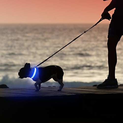 Illumifun Light Up Dog Collar, USB Rechargeable LED Dog Collar, Adjustable Reflective Lighted Pet Collar for Night Walking Camping (BlueⅢ, Large) - color: BlueⅢ, size: Large
