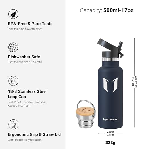 Sparrow Metal Water Bottle with Straw - Insulated Water Bottles Kids 500ml - color: Sea blue, size: 16.9 Ounces