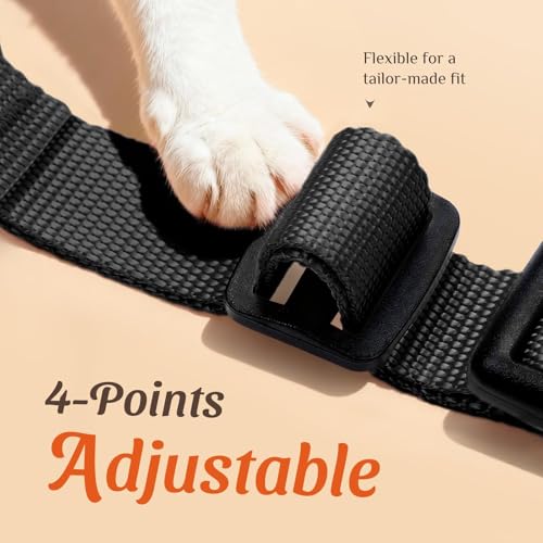 Dooradar Cat Harness and Leash Set, Adjustable and Escape Proof, S - color: Black, size: S