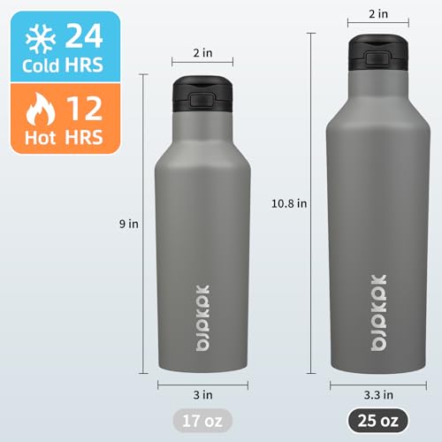 BJPKPK 25oz Insulated Thermal Water Bottle, Straw & Handle, Stainless Steel - color: Gray, size: 25 Ounces