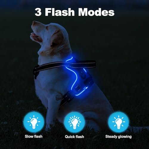 MASBRILL Led Dog Harness - Rechargeable Illuminated & Reflective No Pull Glow Vest for Small - Large Dogs - color: Blue, size: XL