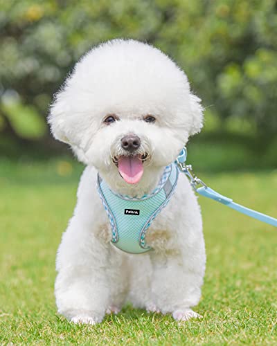 Petank Step in Dog Harness No Pull and Leash for Small Medium Dogs Cats. - color: Light Blue, size: XXS