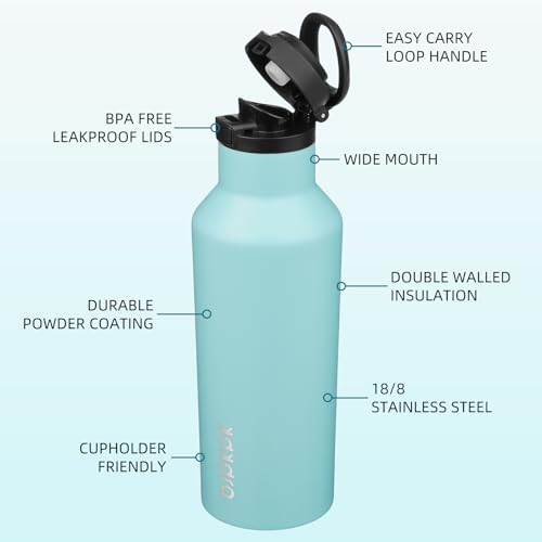 BJPKPK 17oz Insulated Thermal Water Bottle, Straw & Handle, Stainless Steel - color: Turquoise, size: 17 Ounces
