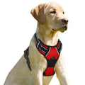 BARKBAY Dog Harness No Pull for Small Sized Dog Front Back Clips,Dog Vest - color: Red, size: X-Small(Chest:15.5-19.5”)