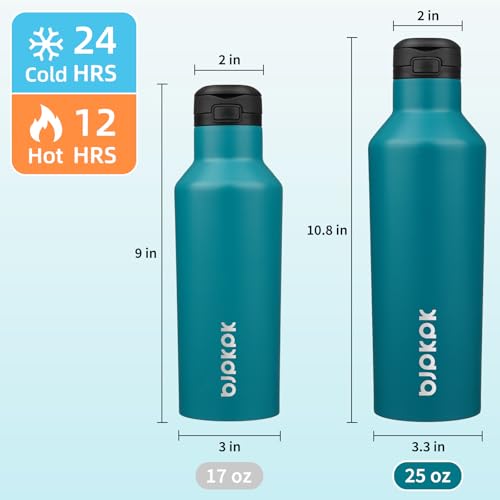 BJPKPK 25oz Insulated Thermal Water Bottle, Straw & Handle, Stainless Steel - color: Lake Blue, size: 25 Ounces