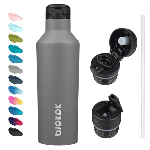 BJPKPK 25oz Insulated Thermal Water Bottle, Straw & Handle, Stainless Steel - color: Gray, size: 25 Ounces