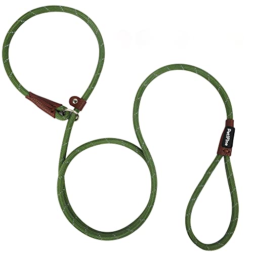 PetiFine Slip Lead Dog Leash Reflective, 6FT x 3/8" Heavy Duty Slip Leash - color: Green, size: 3/8" x 6 FT