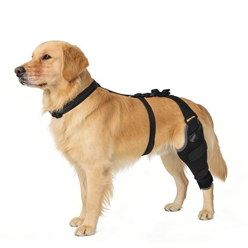 Dog Knee Brace for ACL/CCL with Hot & Cold Gel Pack, Left Leg-M - size: M