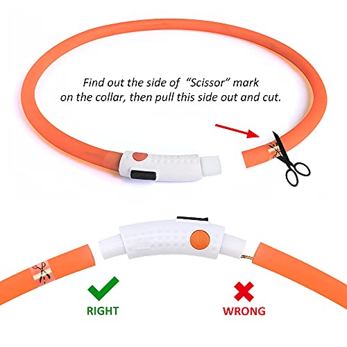 BSEEN Light Up Dog Collar, Glowing LED Dog Collar Rechargeable Cuttable Lighted Puppy Collar Safety Dog Lights Makes Your Beloved Dogs Be Seen at Night(Orange) - color: Orange-Standard(70cm)