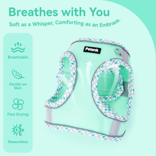 Petank Step in Dog Harness No Pull and Leash for Small Medium Dogs Cats. - color: Green, size: XXXS