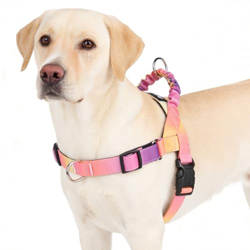 PUPTECK No Pull Dog Harness Small Sized Dog, Adjustable Reflective Pet Vest Harness with Bungee Handle, Escape Proof No Choke Harness for Small Dogs Walking Training, Pink & Purple L - color: Pink & Purple, size: L (NECK: 17.5"-21", CHEST: 25.5"-33")
