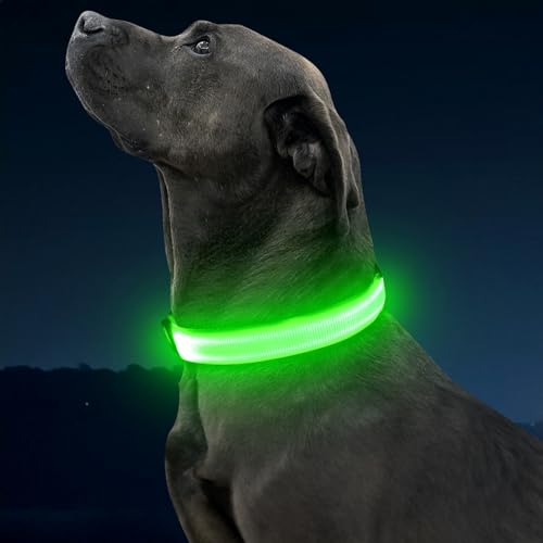 Illumifun LED Dog Collar, USB-C Rechargeable Light Up Collar Glow in Dark, Adjustable Pet Safety Lights for Night Walking Camping (Green, Large) - color: Green, size: Large