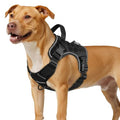WINGOIN Black Tactical Dog Harness for Medium Size Dogs,No Pull Dog Harness - color: Black, size: Medium: 30-50 lbs (Chest:24-28",Neck:17-19")