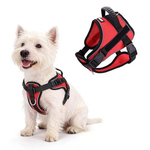 AIITLE No-Pull Dog Harness Reflective Mesh Vest Adjustable, Red S