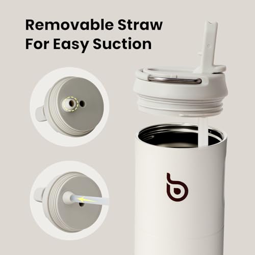 BOTTLE BOTTLE Insulated Water Bottle 24oz with Straw Lid and Handle Sports - color: Light Gray