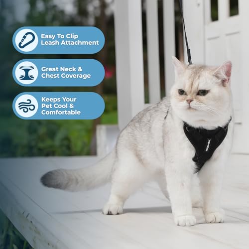 Voyager Escape-Proof Step-in Harness & Leash - Black, XXXS - color: Black, size: XXXS (Chest: 10.5 - 13")