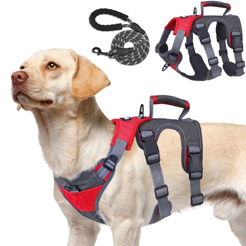 PUPTECK Escape Proof Dog Harness and Leash Set Upgraded No Pull Reflective Dog Vest with Lift Handle, Easy Control Pet Harness for Medium Large Dogs Training Walking Running - color: Red/Grey, size: Medium