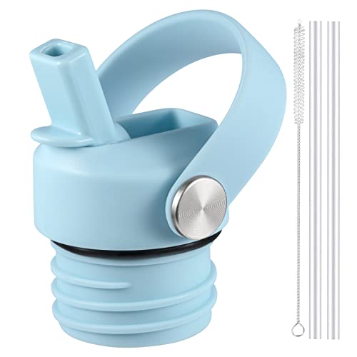 RRegeny Straw Lid fits Hydro Flask Standard Mouth, 21 24 oz, Sports Flex Cap Water Bottle Accessories Replacement Top - color: raindrop orchid+1pack