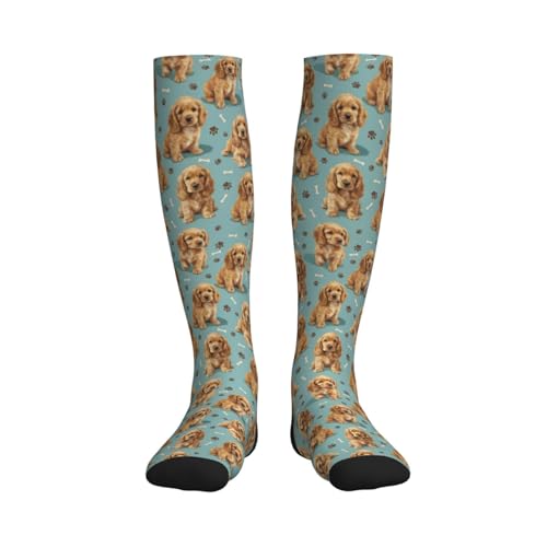 Cute Dog Compression Socks Women Men, Dog Lover Gift - color: Cocker Spaniel