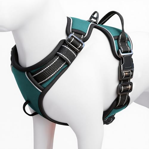 No Pull Dog Harness, No-Choke Soft Padded Reflective Dog Vest Harness with Front Clip & Top Handle, 2 Quick-Release Buckles, Adjustable for Small Medium Large Dogs - color: Glacial Teal, size: X-Small