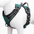 No Pull Dog Harness, No-Choke Soft Padded Reflective Dog Vest Harness with Front Clip & Top Handle, 2 Quick-Release Buckles, Adjustable for Small Medium Large Dogs - color: Glacial Teal, size: X-Small