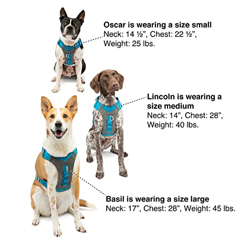 Kurgo Journey Air Dog Harness - Secure Fit for Active Dogs - Padded Chest - Lightweight Ripstop Fabric - Breathable Mesh - Reflective Trim - Back Assist Handle - Blue - X-Small - color: Blue, size: X-Small