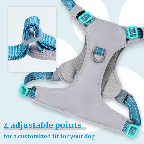 Huntboo No-Pull Dog Harness, Fully Reflective Vest with 2 Leash Clips, No-Choke, Adjustable, Breathable & Durable for Small, Medium & Large Dogs Walking, Training, Running (Teal Blue, L)
