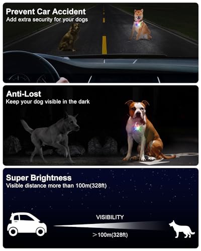 2 Pack Dog Collar Light, 4 Modes Clip On Dog Lights for Night Walking, Glow in the Dark LED Pet Collar Charm, Rechargeable Pet Camping Essentials for Nighttime Running, Cycling, Hiking(White) - color: White
