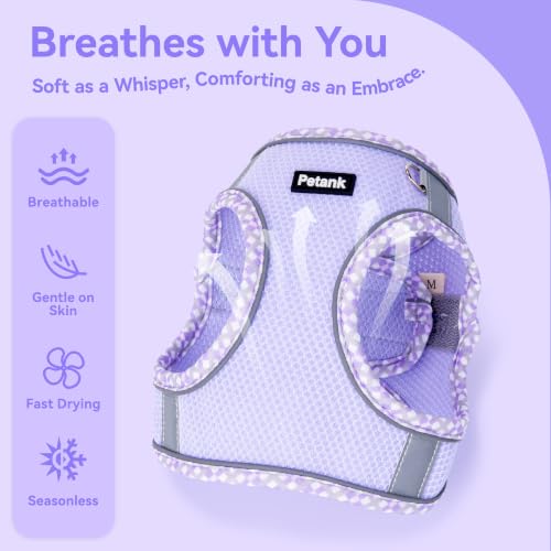 Petank Step in Dog Harness No Pull and Leash for Small Medium Dogs Cats. - color: Purple, size: XXXS