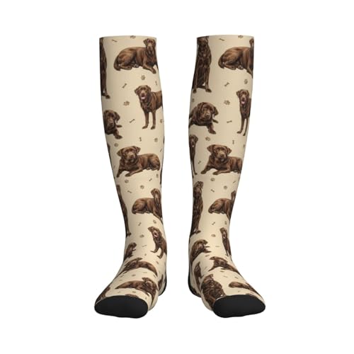 Cute Dog Compression Socks Women Men, Dog Lover Gift - color: Chocolate Lab