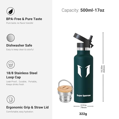 Super Sparrow Stainless Steel 500ml Vacuum Insulated Water Bottle - BPA Free - Gym, Travel, Sports - color: Jade, size: 16.9 Ounces