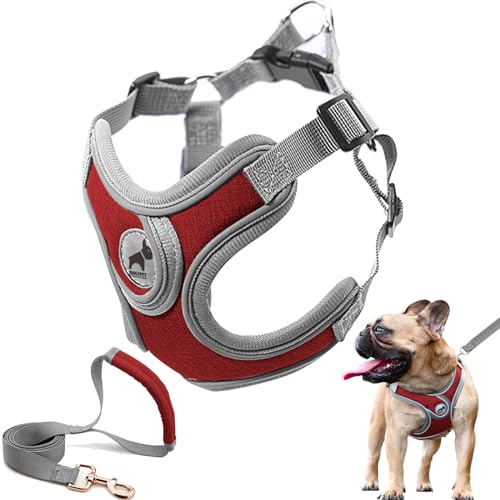 Dog Harness with Leash Set, No Pull Adjustable Step in Pet Vest - color: Red, size: S
