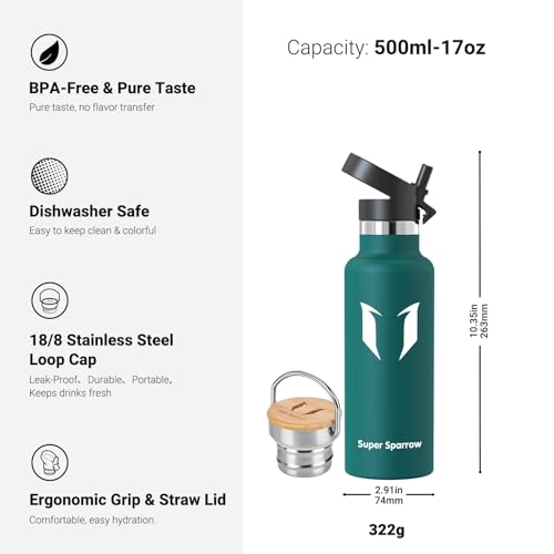 Sparrow Metal Water Bottle with Straw - Insulated Water Bottles Kids 500ml - color: Dark green, size: 16.9 Ounces