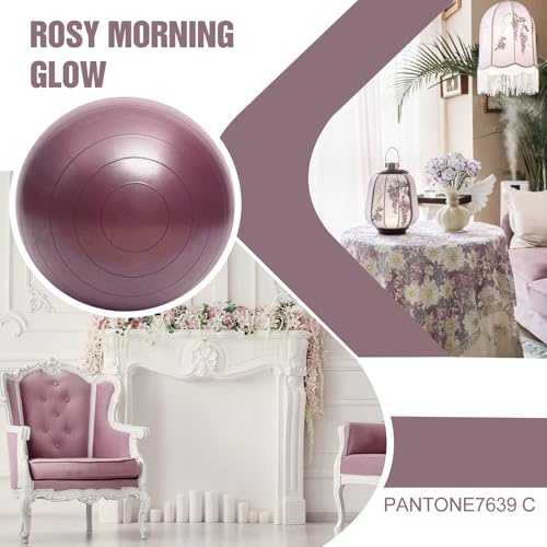 INPANY Peanut Exercise Ball for Labor, Physical Therapy & Fitness - color: Rose Gold