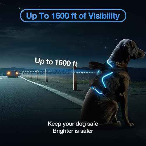 MASBRILL Light Up Dog Harness - No Pull Led Dog Harness Rechargeable Adjustable Lighted Dog Vest Harness for Small Medium Large Dogs - color: Black-Blue, size: XL