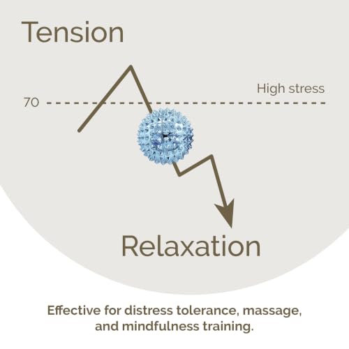 2X Spiky DBT Skill Balls | Magnetic Stress Relief Balls | Spiky Massage Balls for Relaxation, Tension Release, Focus & Mobility (Black/Blue, 1.25 inch) - color: Black/Blue, size: 1.25 Inch