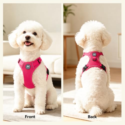 PoyPet Mesh Dog Harness, Reflective Breathable Puppy Vest for Small Dogs - color: Fuchsia, size: S
