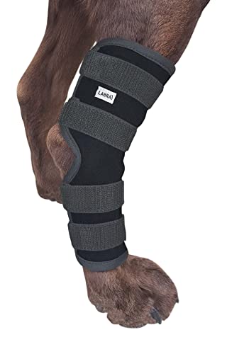 Labra Dog Rear Leg Hock Joint Compression Wrap - Supportive Brace for Weak Back Legs, ACL Tear, and Joint Discomfort - Adjustable Hind Leg Support for Senior Dogs - Extra Large - size: Extra Large