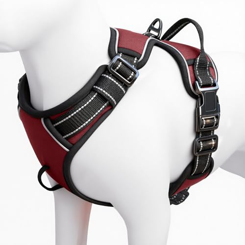 No Pull Dog Harness, No-Choke Soft Padded Reflective Dog Vest Harness with Front Clip & Top Handle, 2 Quick-Release Buckles, Adjustable for Small Medium Large Dogs - color: Neon Fuchsia, size: X-Small